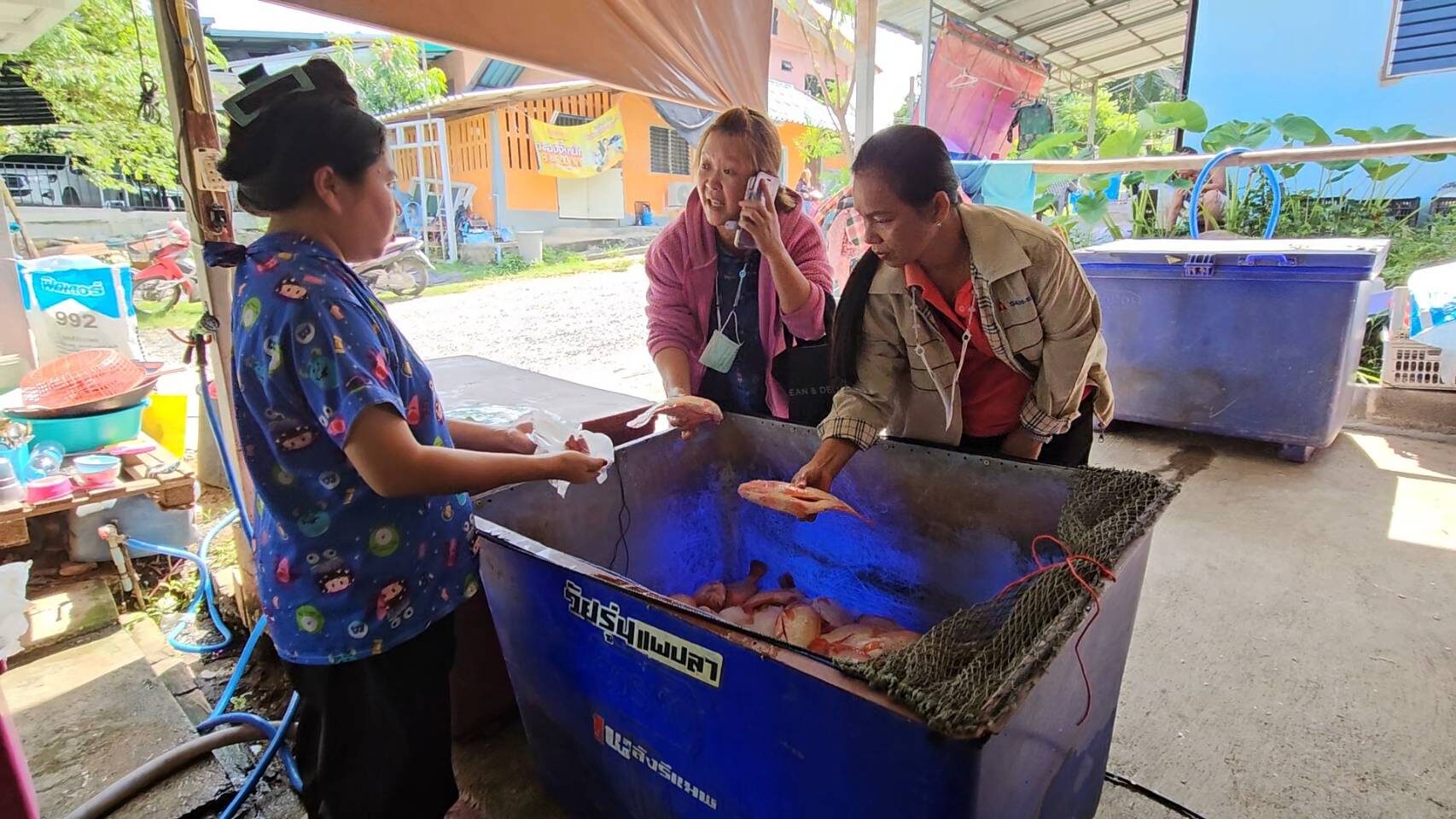 น้ำป่าสักเน่า