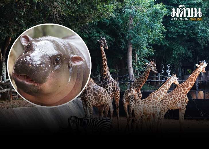 124 เที่ยวฟรี 7 แห่ง สวนสัตว์ทั่วประะเทศ สำหรับเด็ก-ผู้สูงอายุ วันปิยะฯ 23 ตุลาฯ
