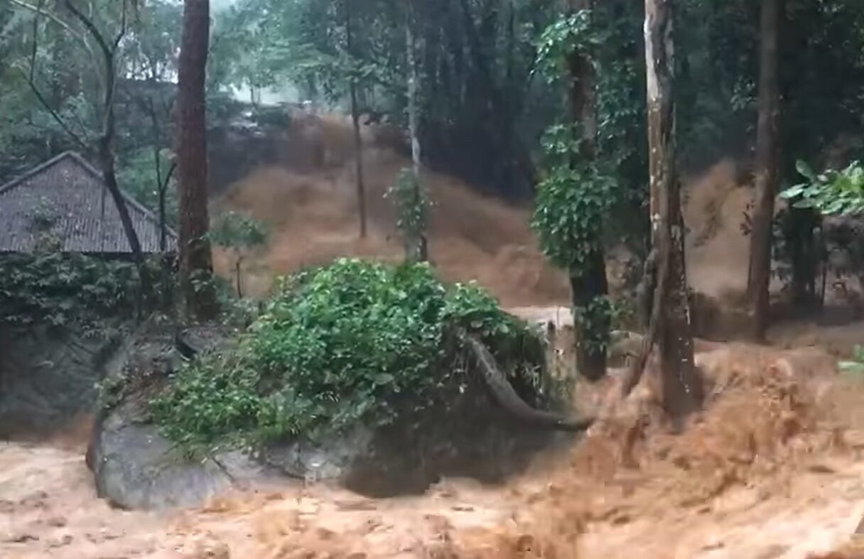 น้ำป่าแดงขุ่นทะลัก สู่ น้ำตกแม่สา
