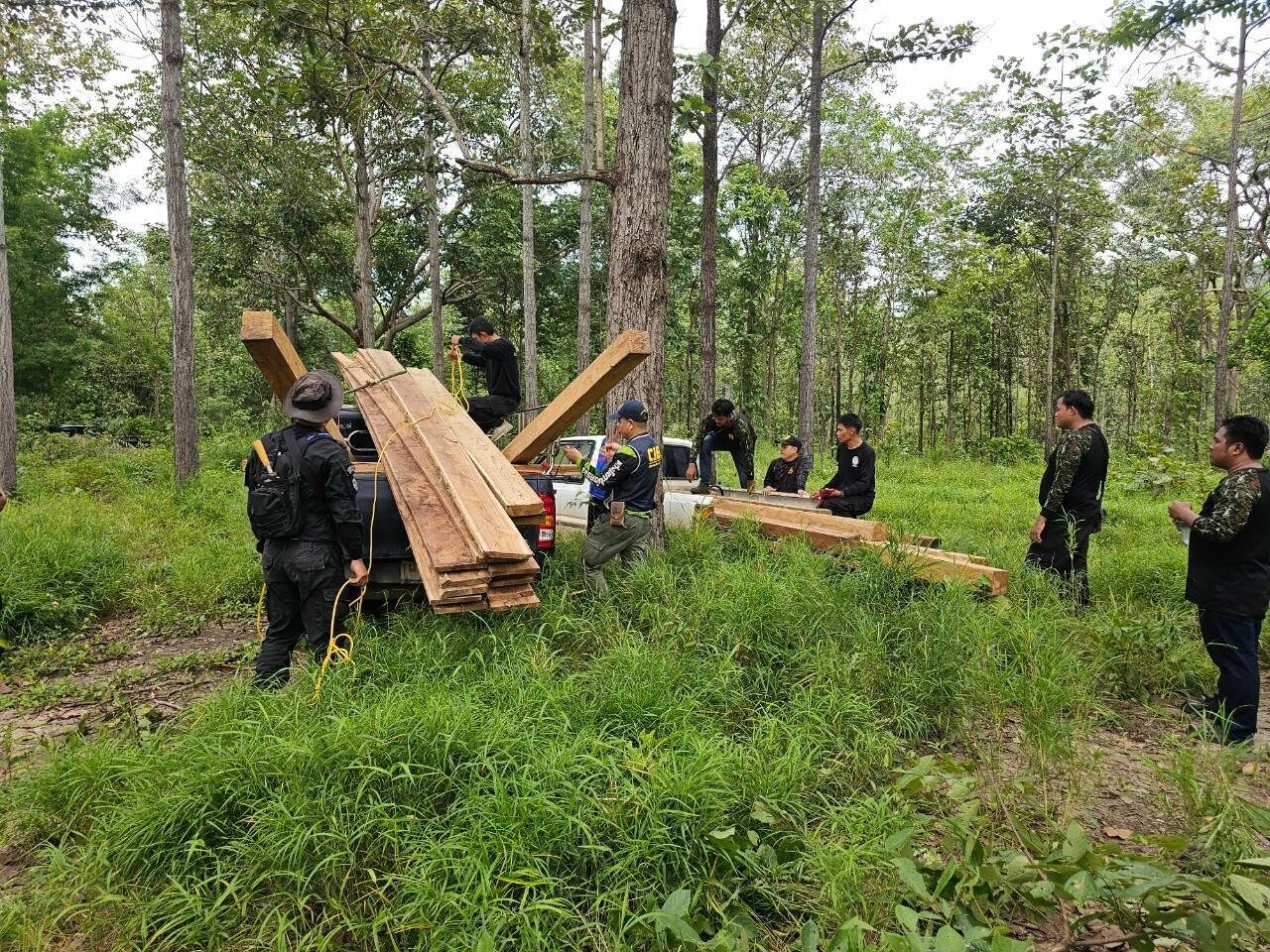 แปรรูปคาตอ 