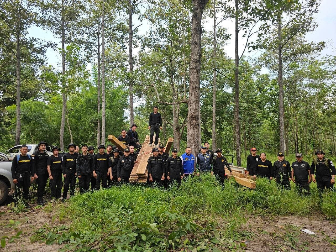 แปรรูปคาตอ 