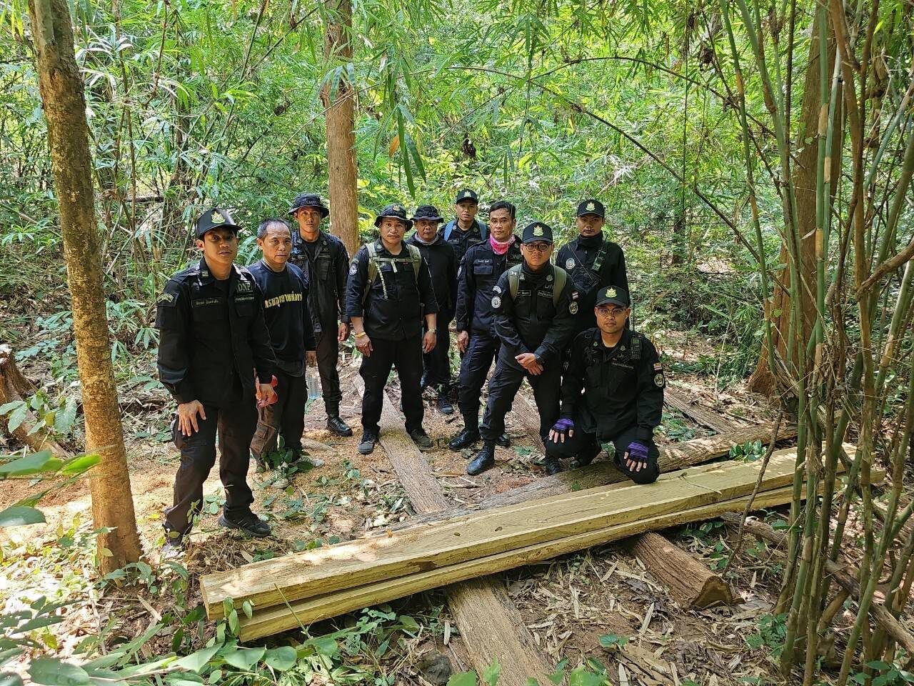 แปรรูปคาตอ 