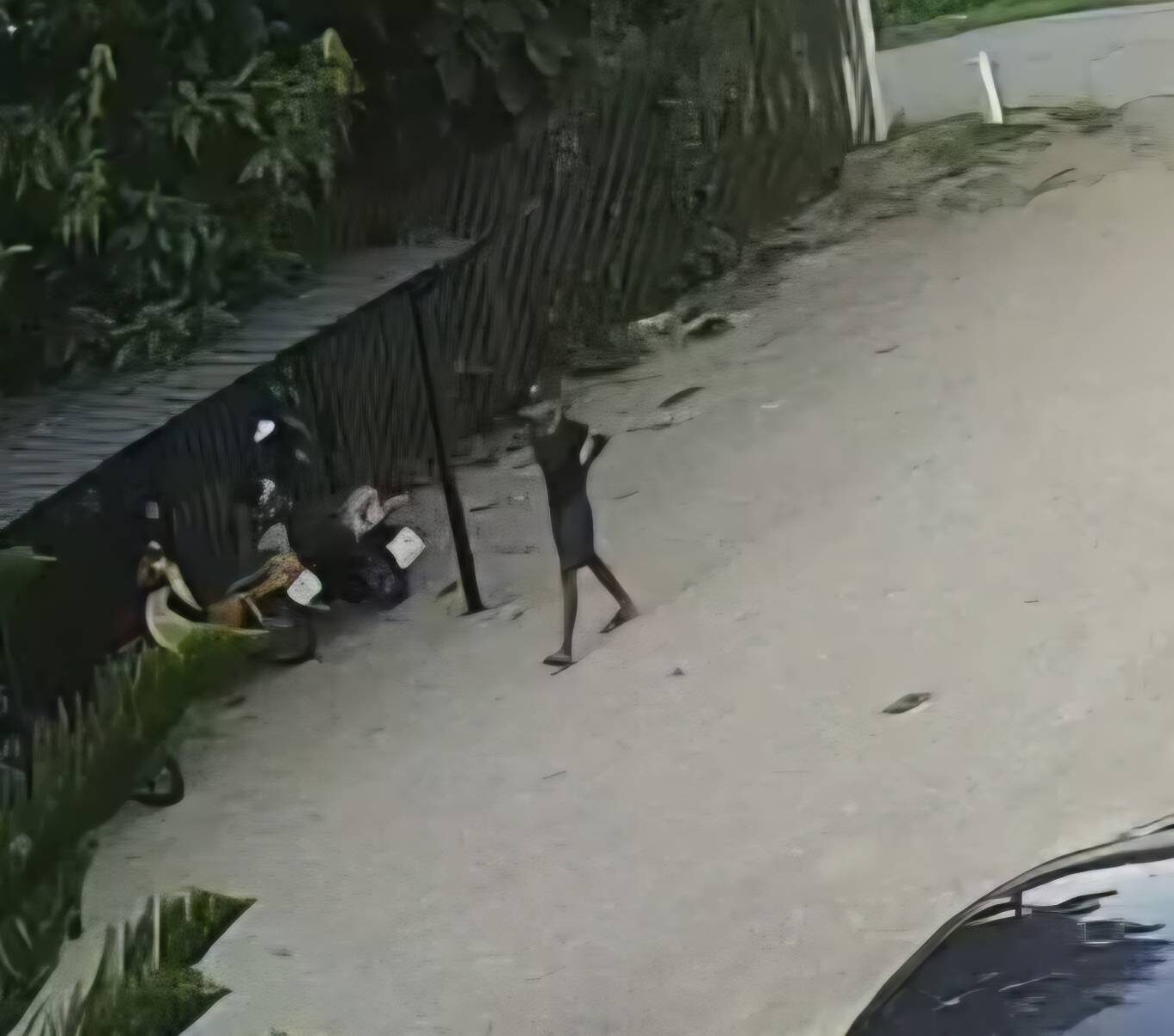 รถเวฟ