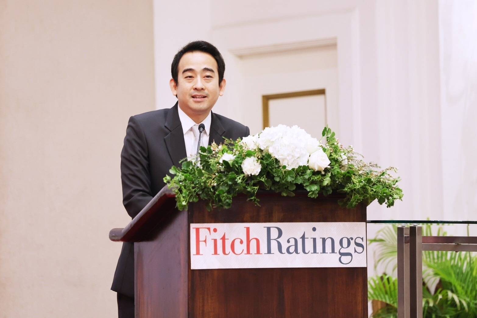  Fitch 