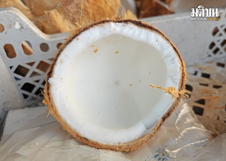 coconut coconut
