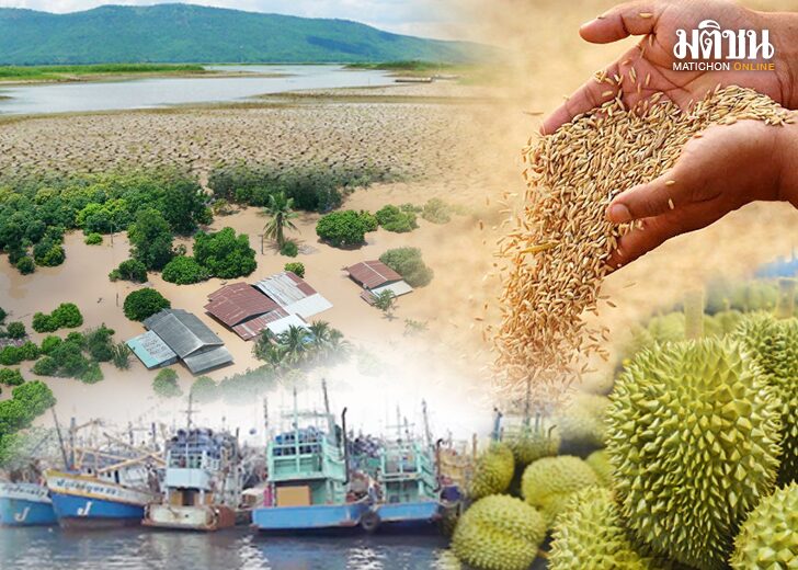 ภาคเกษตรไทย