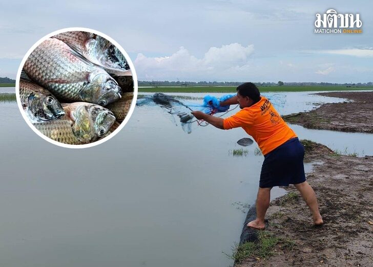 fish5