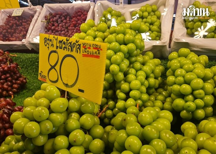 grape 728