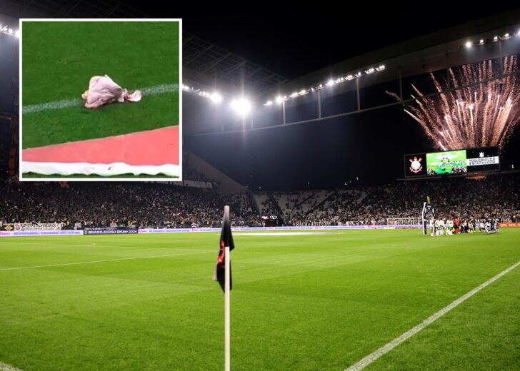 Brasileiro Championship - Corinthians v Palmeiras