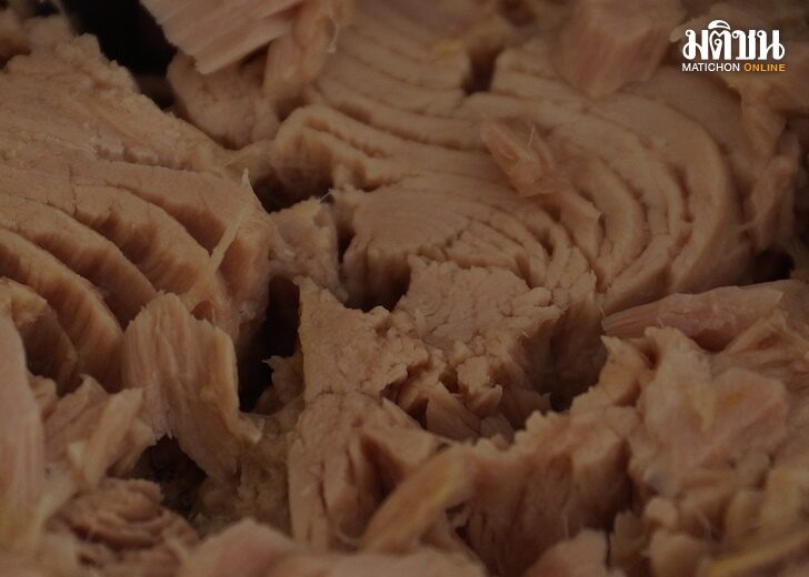 tuna-439