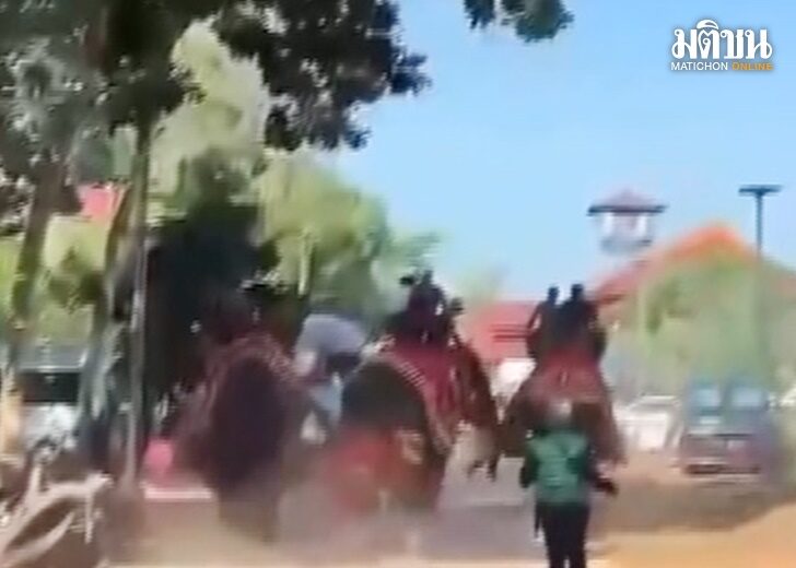 คืบหน้า-ช้างหงุดหงิดงานกฐิน