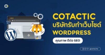 Cotactic บริษัทรับทำเว็บไซต์ WordPress