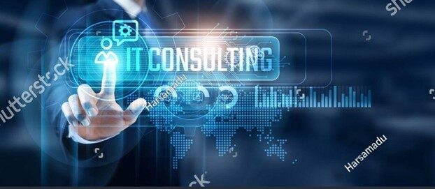 IT CONSULTANT