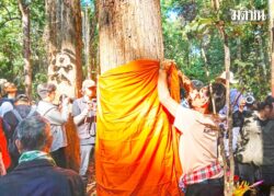 #Saveสะเอียบ #Saveป่าสักทอง 35ปี ต้านเขื่อนแก่งเสือเต้น ‘ถ้าจะรื้อฟื้น ต้องฝ่าด่านอีกเยอะ’