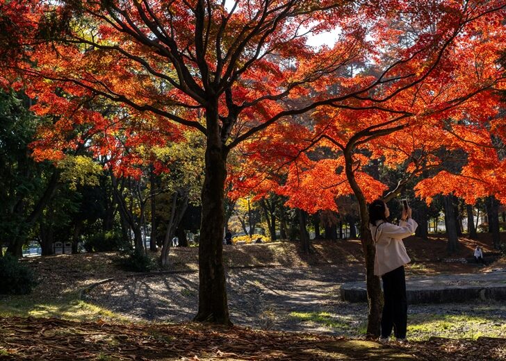 JAPAN-CLIMATE-WEATHER