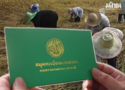 โครงการไร่ละ 1,000 บาท