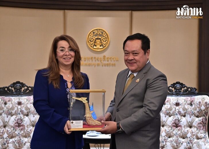 ทวีหารือUNODC