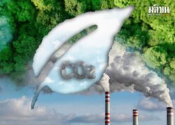 Net Zero หลักการที่ผิดพลาด ทำให้ลดโลกร้อนไม่ได้