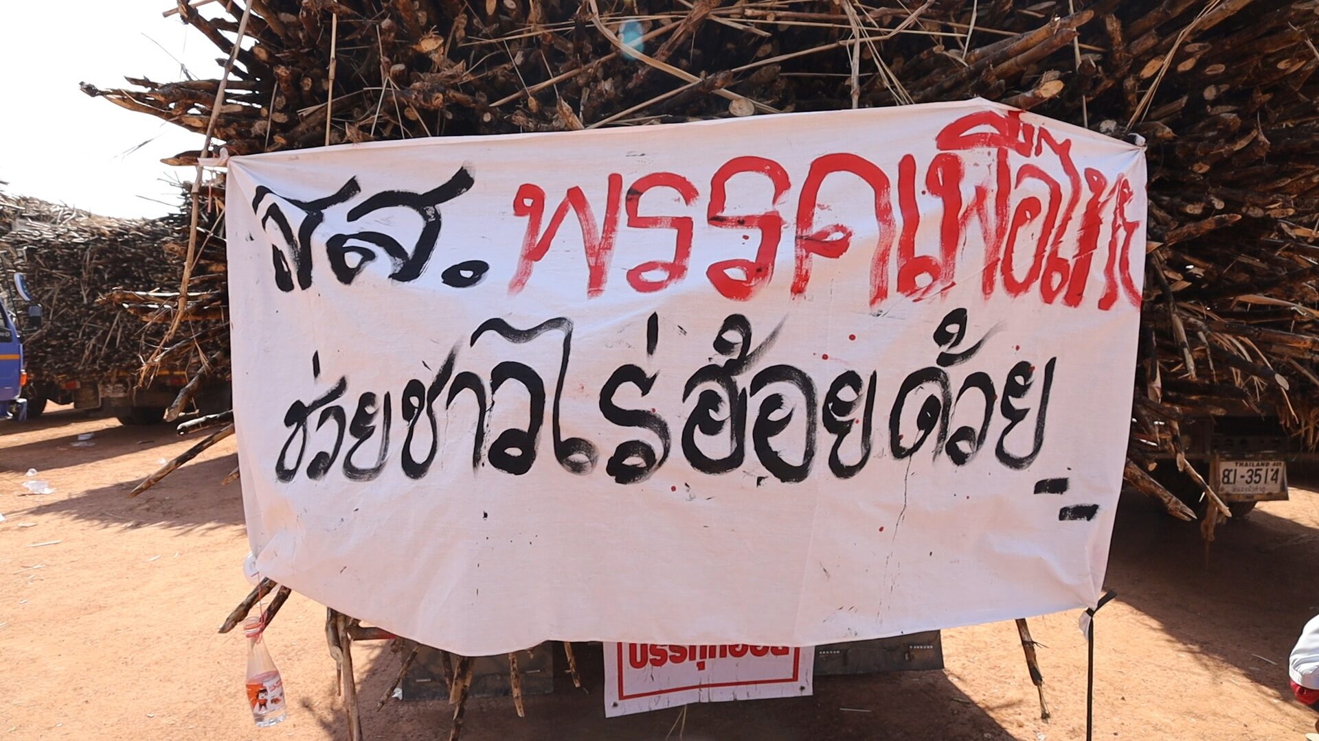 อ้อย