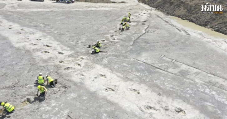 Britain Dinosaur Tracks