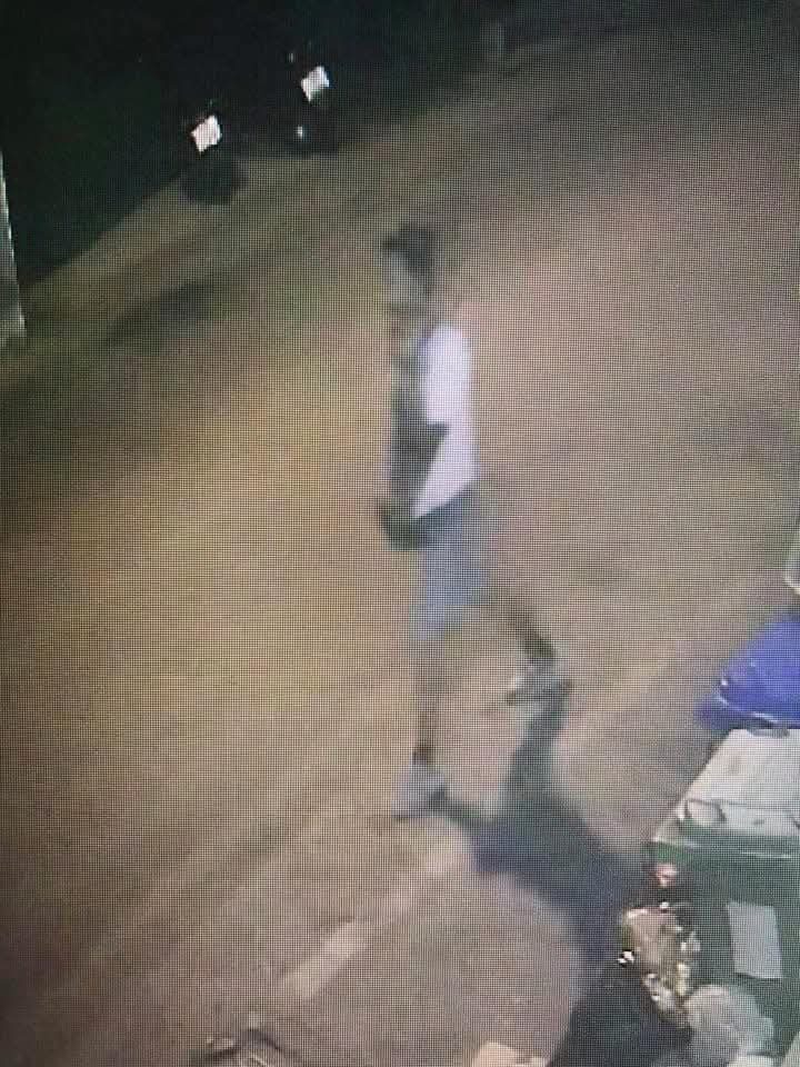 ฉุดเด็ก