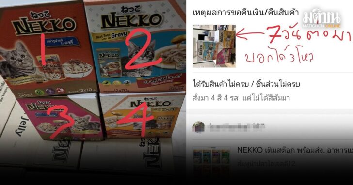 oioi5 wed