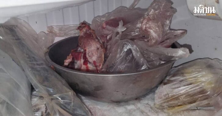 ลาบหมูดิบ74568746