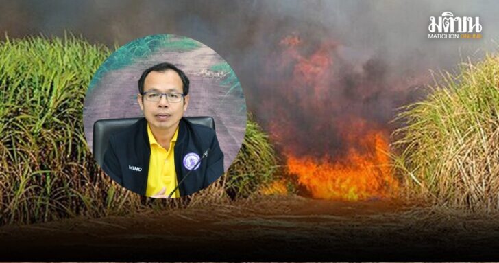 ใบน้อย-เผาอ้อย-ปก