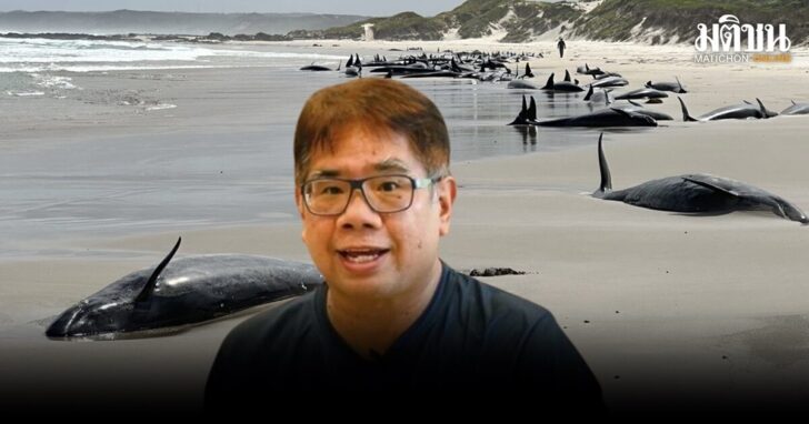 Australia Stranded Whales