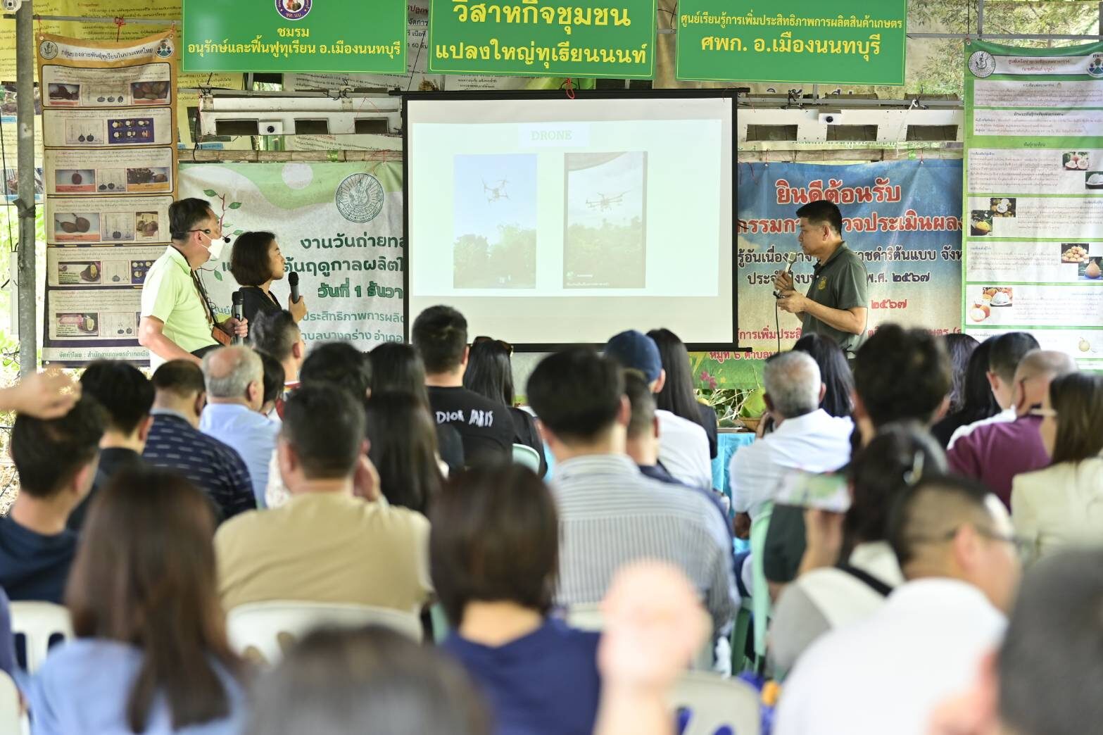 สวนทุเรียน