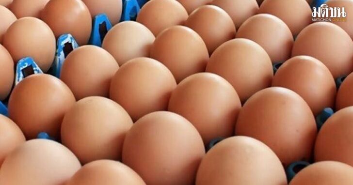 egg1200