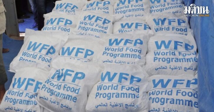 wfp