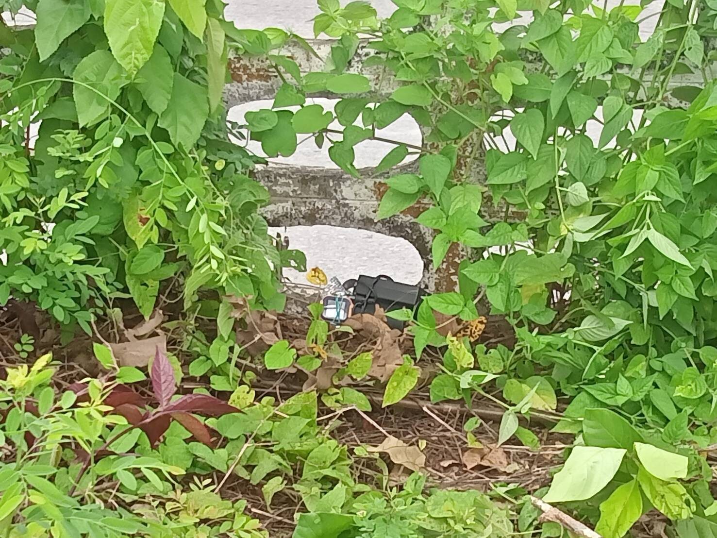 วัตถุต้องสงสัย