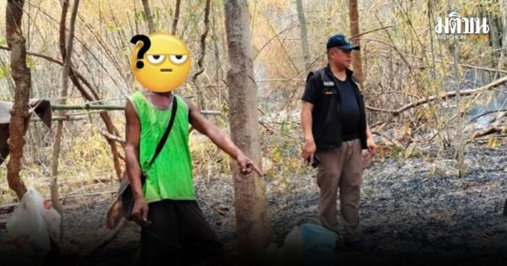 เผาป่า