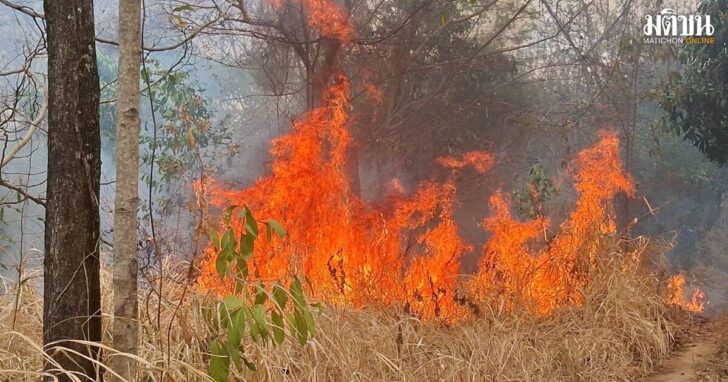 fire1200