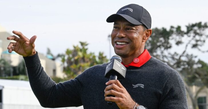 tiger