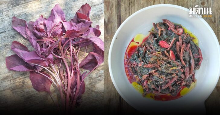 ผักโขมแดงตุ๋นน้ำมัน สีสันแห่งคุณค่าอาหาร