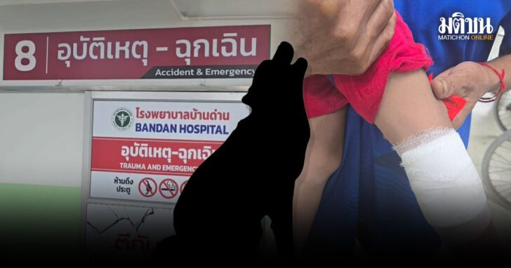 ปกใหม่