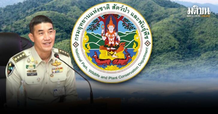 ปกใหม่