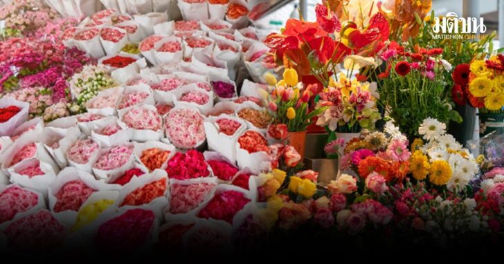 ปกใหม่