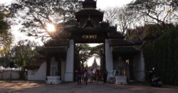ดาราเทวี