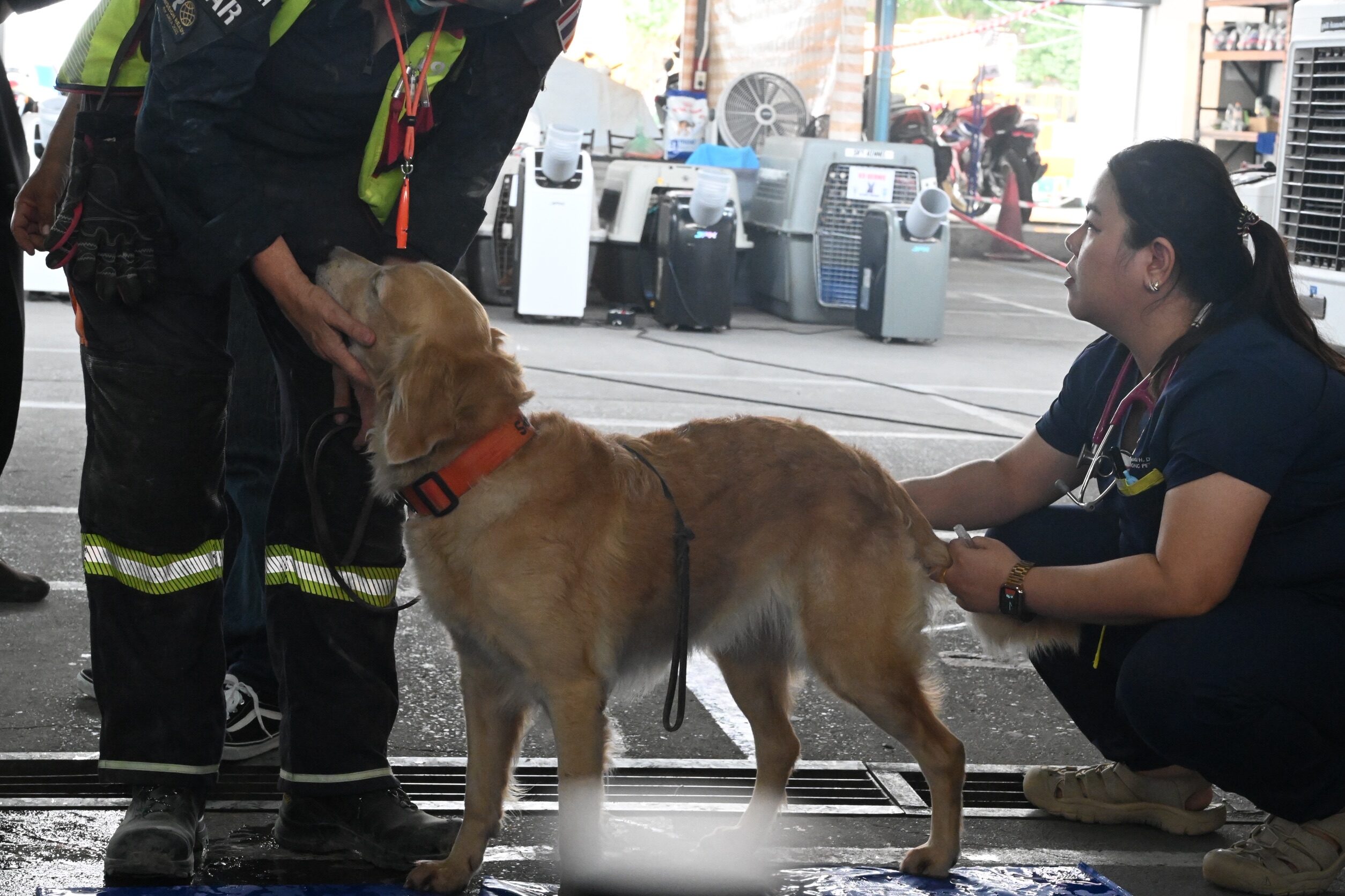 K9