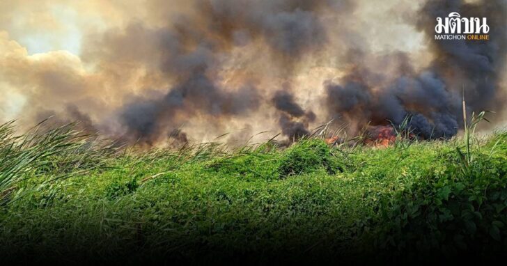 firereee1