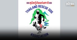 สุนัขกู้ภัย