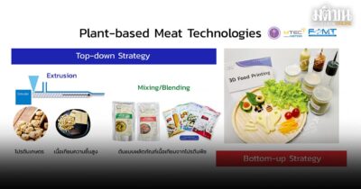เนื้อเทียม