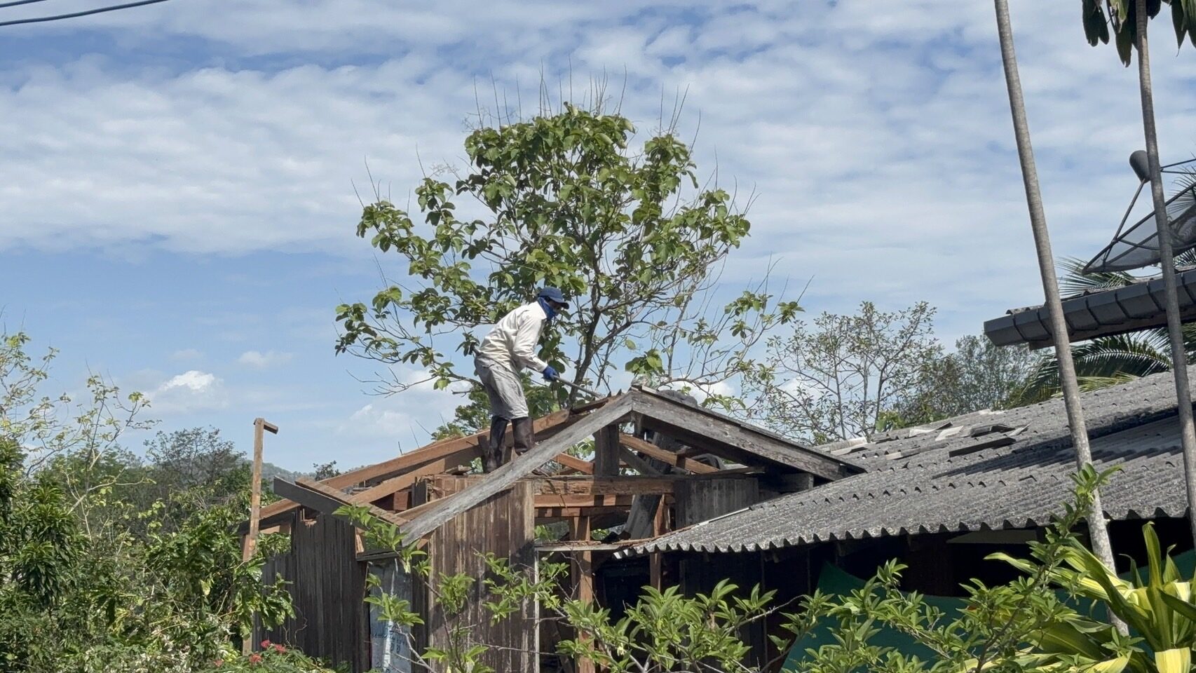 พายุงวงช้าง