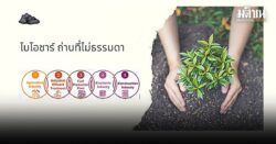 ไบโอชาร์