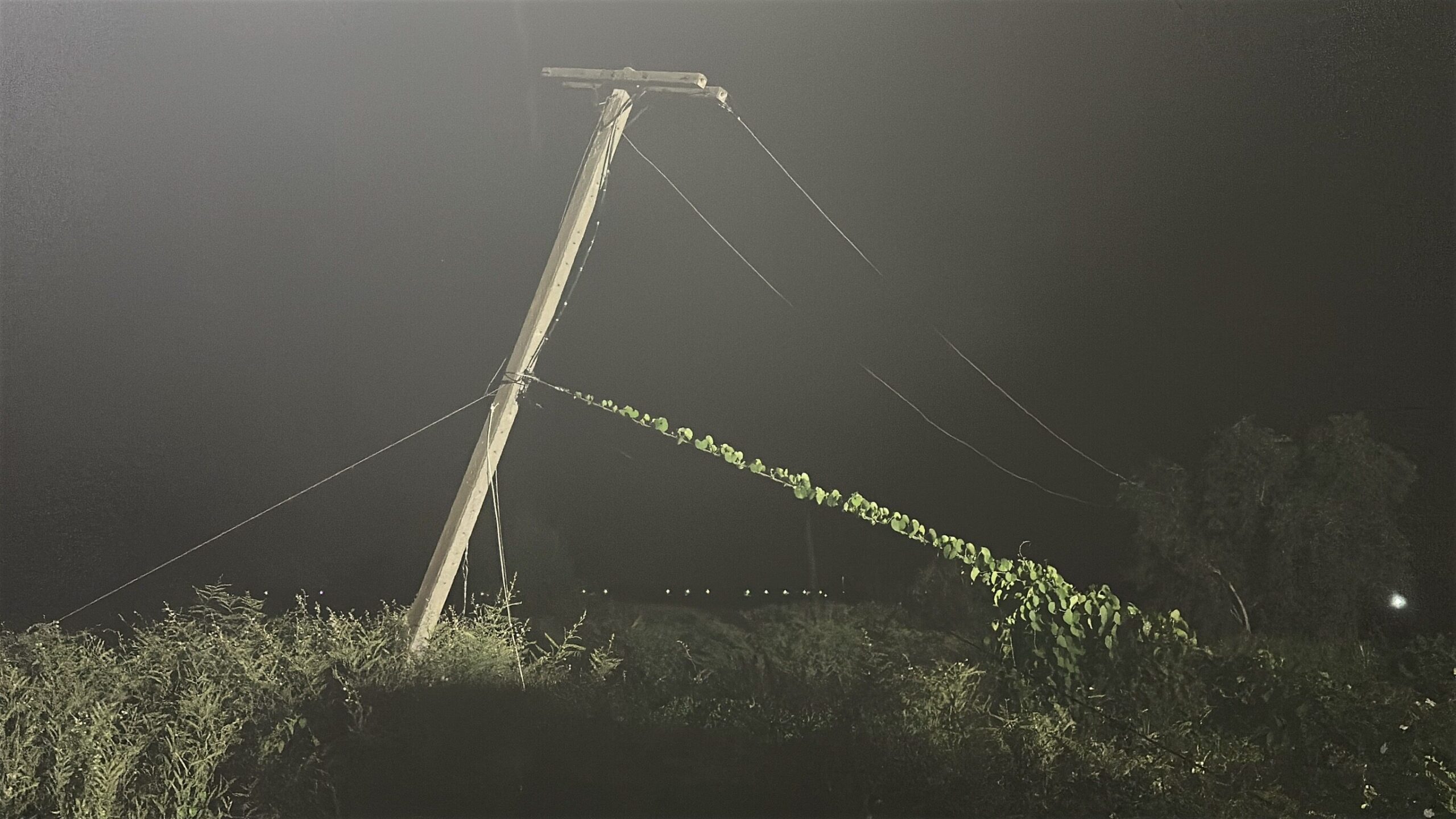 Tragic electrocution kills two in Nakhon Nayok tractor accident | News by Thaiger