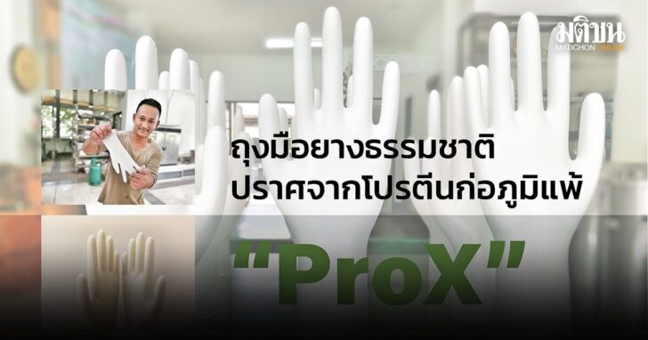 ProX ถุงมือยาง