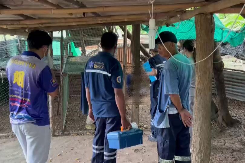 จบชีวิตในเล้าไก่